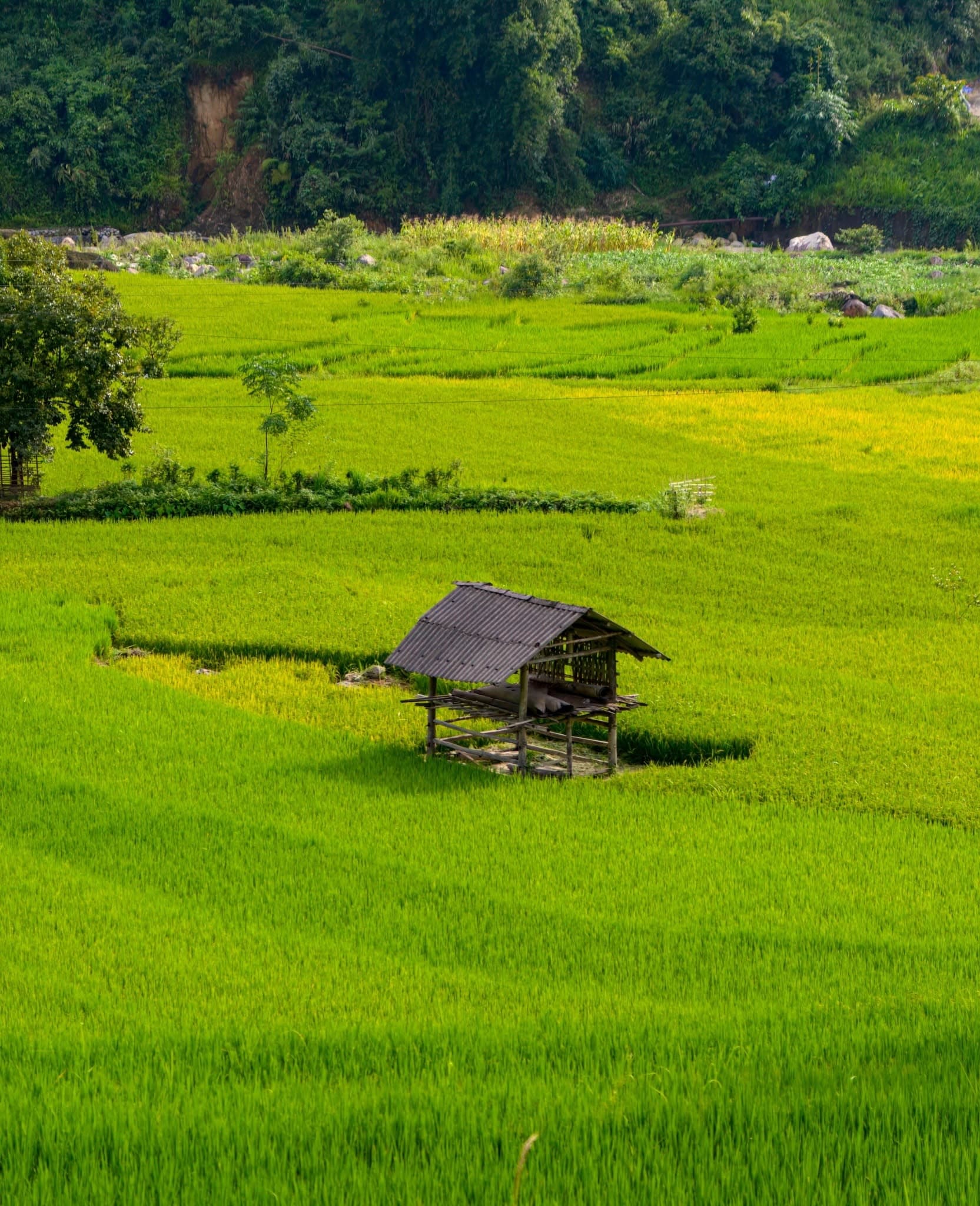 Du lịch tháng 7: 10 điểm đến và những gì cần biết trước khi đi